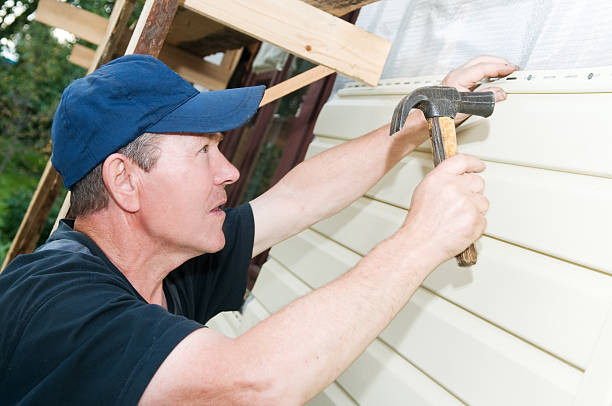 Best Stone Veneer Siding  in Picture Rocks, AZ